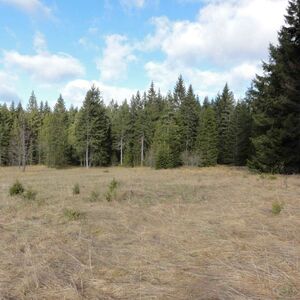 Two plots for sale near Mitrovec on Tara