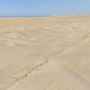 For Sale: 47 has Beachfront land in Chiclayo province.