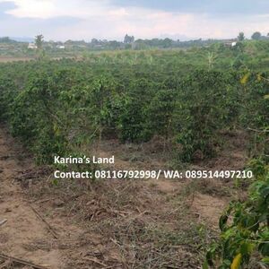 Land for Sale –1.5 Hectares in North Sumatera, Indonesia