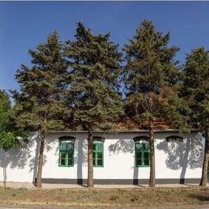 House for sale in Srbobran