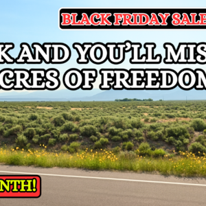Black Friday: 30% OFF – 4.91 Acres in CO for $107/Mo!