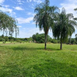 Discover your opportunity: fully titled plots in paraguay