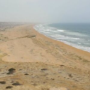 For Sale: 1200 hectares Beachfront Land in Piura, Peru.