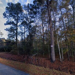 1-Acre Land in Pineland SC | Owner Financing Available
