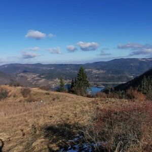 Zaovine/Vasiliči, 44 ares