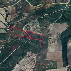 Land in Sicily - Cimino Gaetana