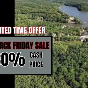 Black Friday Sale - Camden County 0.24 Acre Lakefront Deal. 
