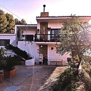 FINCA 12.000 metros cuadrados