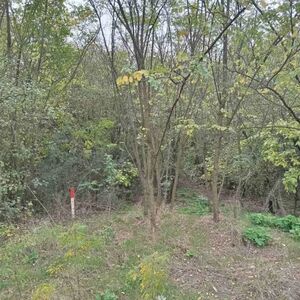 Devojački Bunar plot for sale