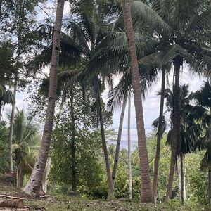 Overlooking Lot for Sale