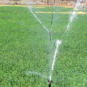 Greenheart Valley (645)