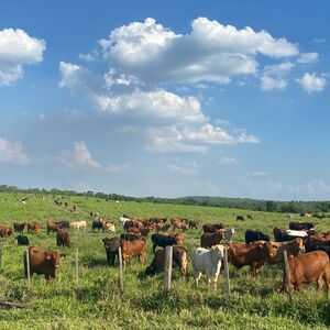 Agricultural estate in Caaguazu, 870 hectares