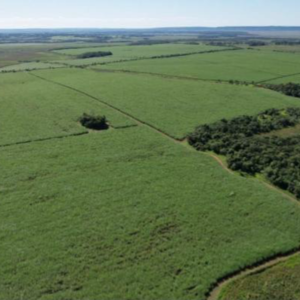 Agricultural and livestock farm 752 Hektar in Paraguay