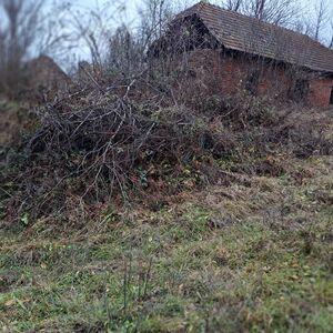 With well, large land size, wild mushroom and game paradise