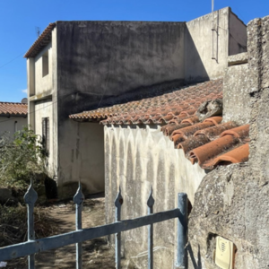 Detached House with Private Courtyard in the Heart of Mogore