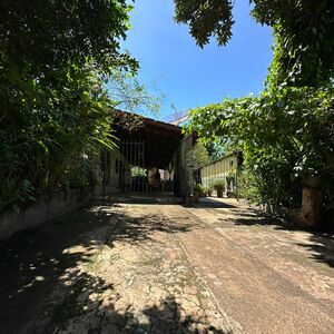 Fully booked urban tea