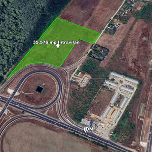 Land 35,576 sqm, Forest Frontage, Direct Road Access