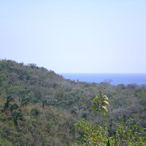 Her loss is your gain!