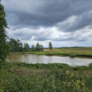ECO property on the banks of the Venta River