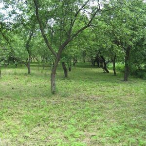 Building Lot. Private sale