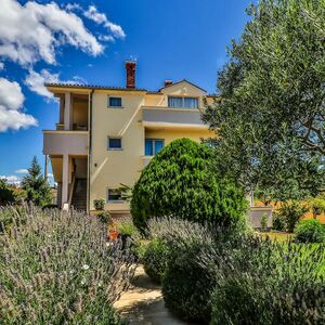 Three-Story House with Swimming Pool