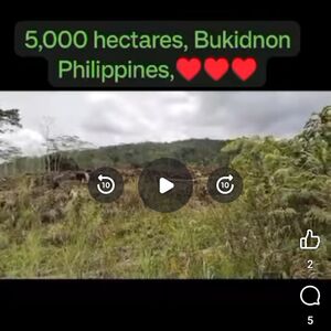 For sale farm lot in Talakag, Bukidnon 