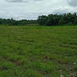 For sale farm lot in Cebu, Philippines 