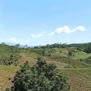 For sale farm lot in bukidnon, Philippines 