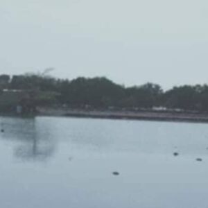 For sale island in Bohol, Philippines 