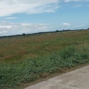 For sale beach lot in Bohol, Philippines 