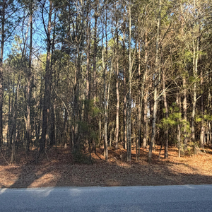 1 Acre for Sale in Timmonsville SC