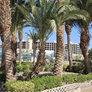 Studio of 47 m2 in ATLANTIS