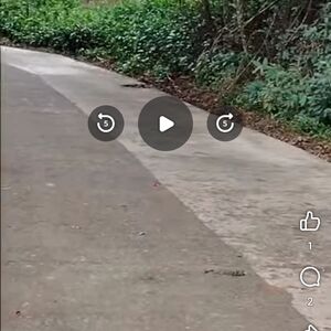 Commercial lot in kitaokitao, bukidnon, Philippines 