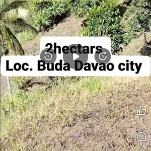 Farm lot in Davao city 