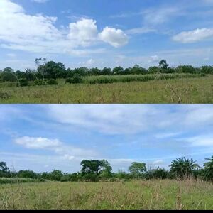 Farm lot in Carmen, Davao del Norte 