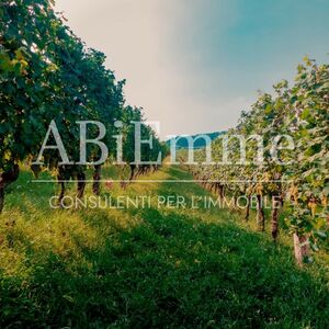 Farmland on Strada Aiv&egrave;, Costigliole d'Asti (MONFERRATO)