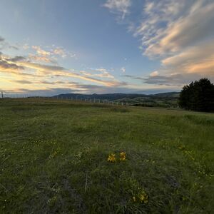 Sale of land in the village of Ljutice-Tometino Polje