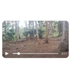 Farm lot in Davao city 