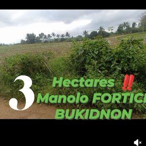 Farm lot in bukidnon 