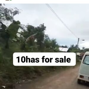 Farm lot in panabo city 