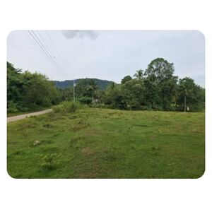 Farm lot in samal island, Philippines 