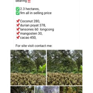 Farm lot in Davao city 