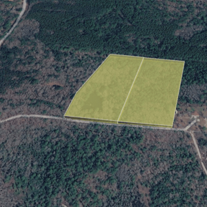 2-Lot Combo Land for Sale in Pineland, SC