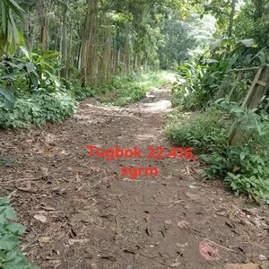 Farm lot in Davao city 