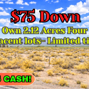 Buy 4 Adjacent Lots Totalling 2.12 Acre for Just $75 Down