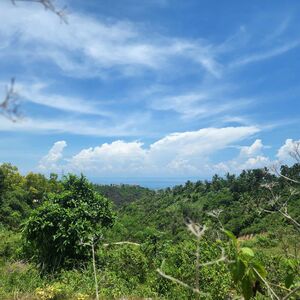 220sqm Overlooking Lot for Sale in Vista Grande Cebu