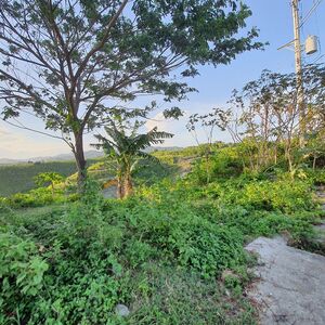 265sqm Lot for Sale in Vista Verde Overlooking