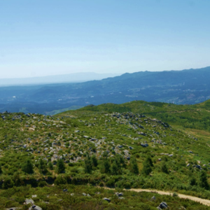 Historic Estate with 6 Hectares,and 5 Traditional Stone Hous