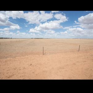 Farm lot in Australia 