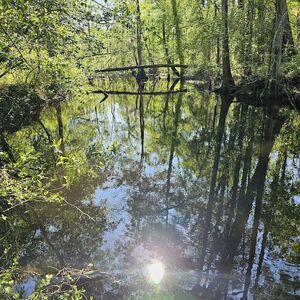 52 Acres on the LUMBER RIVER, Waterfront, LUMBERTON NC